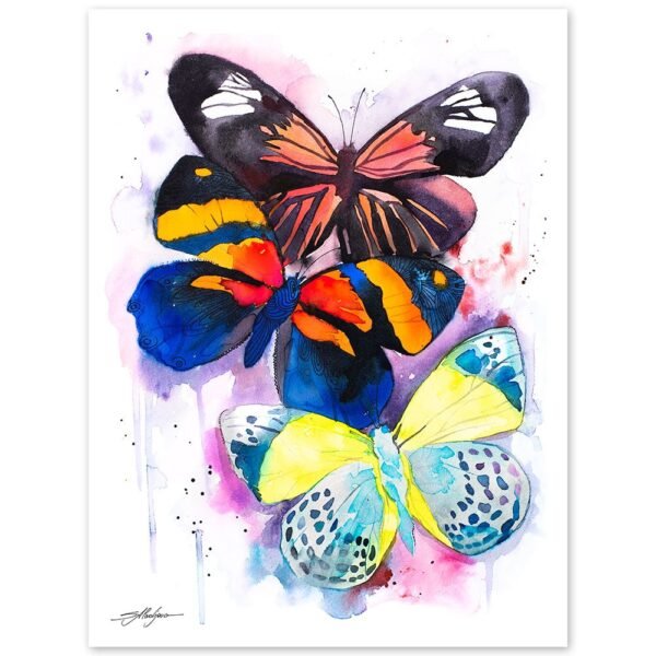 Colorful Butterfly