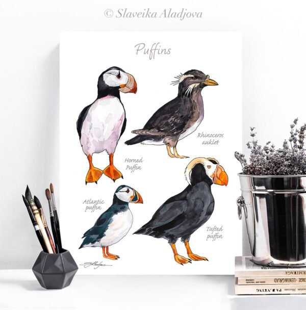 Puffins watercolor 2 Puffins