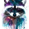Raccoon watercolor 1 Raccoon
