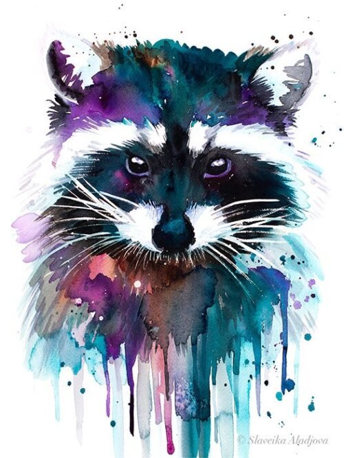 Raccoon