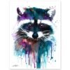 Raccoon watercolor 7 Raccoon