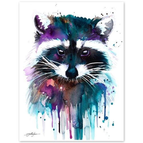 Raccoon