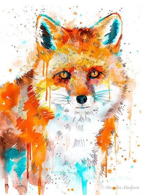 Red Fox