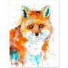 Red Fox