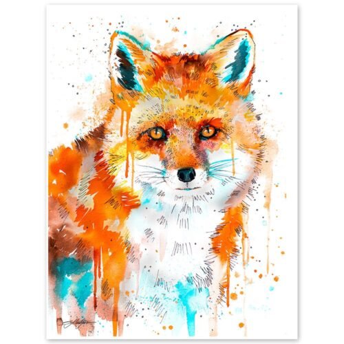 Red Fox