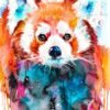 Red Panda