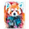 Red Panda
