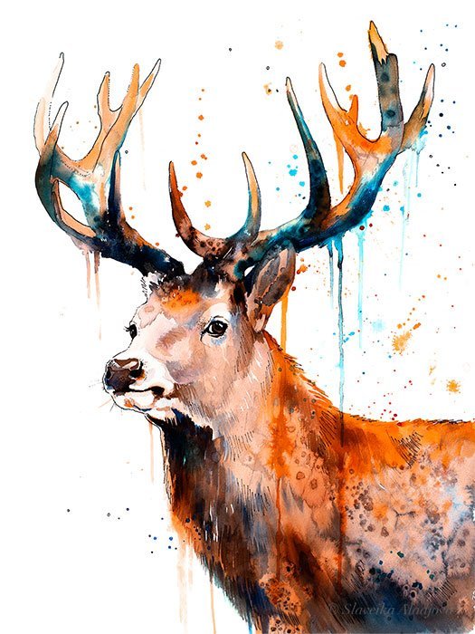 Red deer Stag