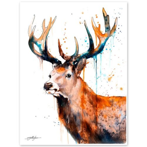 Red deer Stag