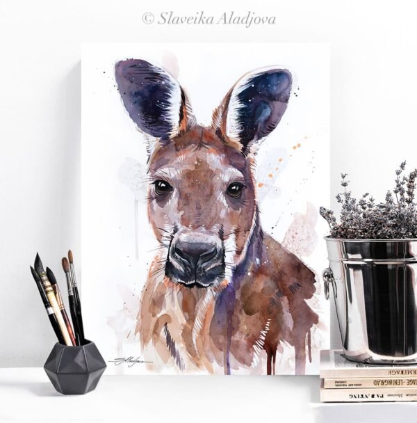 Red kangaroo