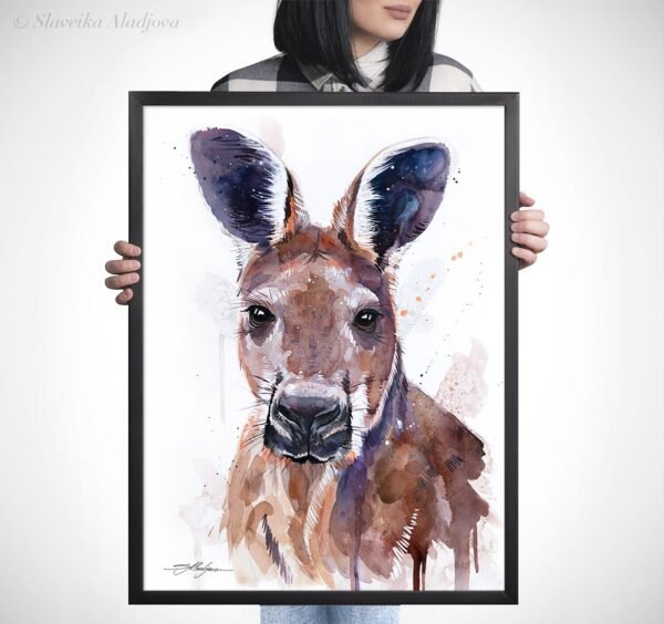Red kangaroo