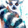 Ring-tailed lemur