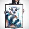 Ring-tailed lemur