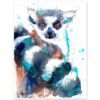 Ring-tailed lemur