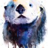 Sea Otter