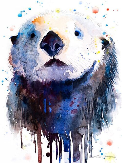 Sea Otter