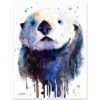 Sea Otter