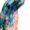 Sea lion