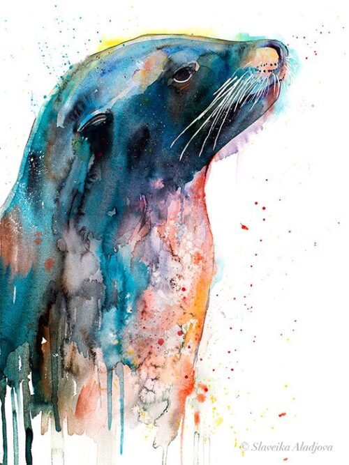 Sea lion
