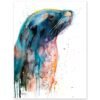Sea lion