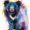 Sloth bear watercolor 1 Sloth bear