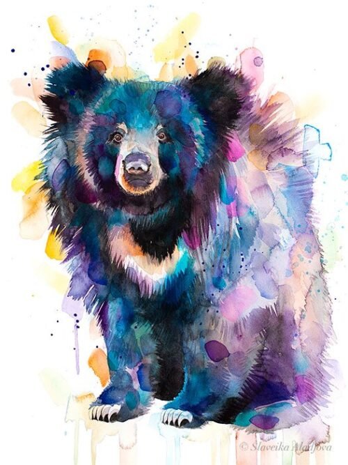 Sloth bear