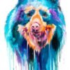 Spectacled Bear