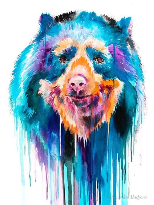 Spectacled Bear