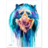 Spectacled Bear