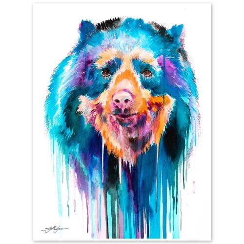 Spectacled Bear