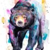 Sun bear, Honey bear