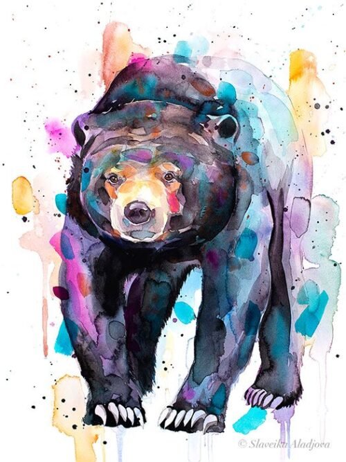 Sun bear, Honey bear