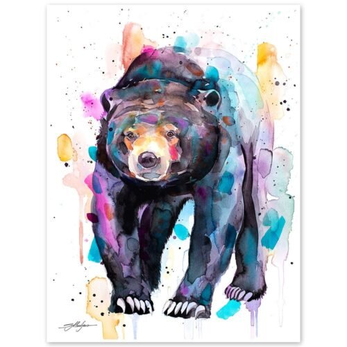 Sun bear, Honey bear