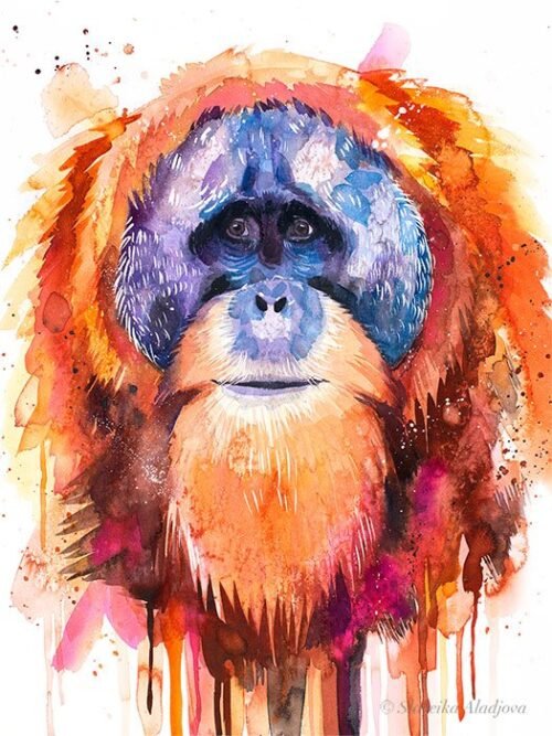 Tapanuli orangutan