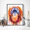 Tapanuli orangutan