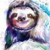 Three-toed sloth watercolor 1 Three-toed sloth