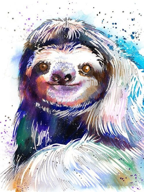 Three-toed sloth