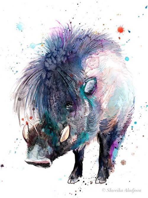 Visayan warty pig
