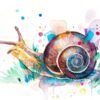 Snail