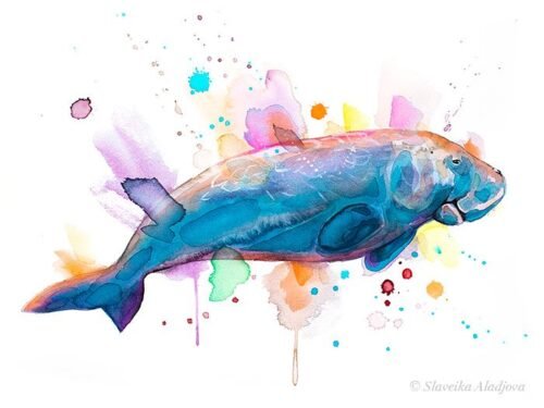 Dugong