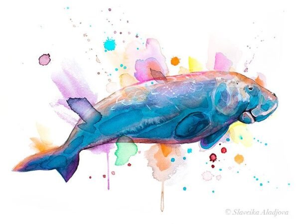 Dugong