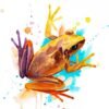 Yellow Frog