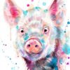 Pig Pig