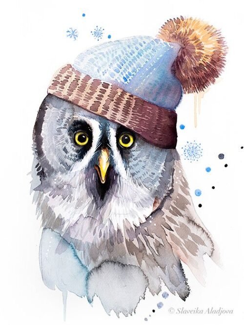 Funny Great Grey Owl With Hat