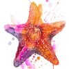 Starfish