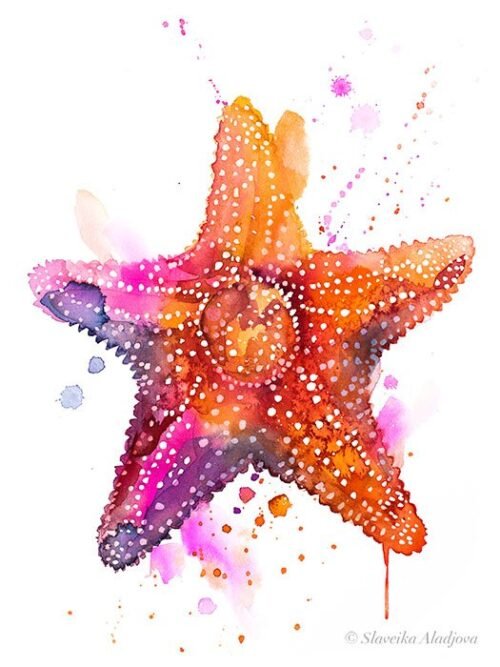 Starfish
