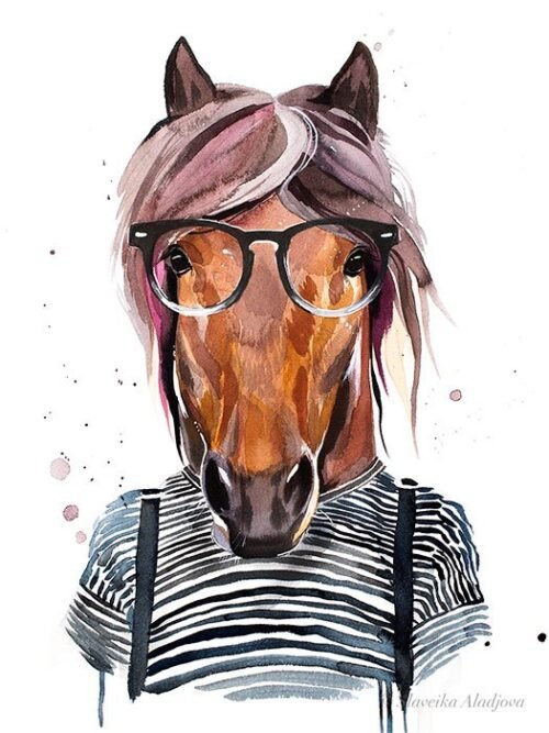 Funny Horse, Cute Horse