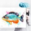 Orangespotted sunfish