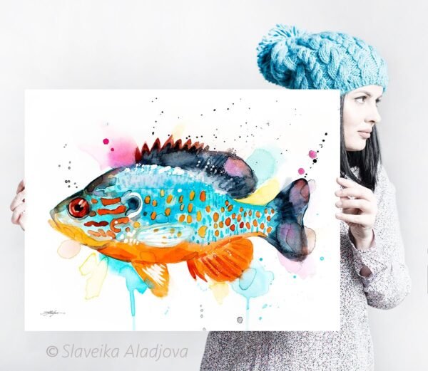 Orangespotted sunfish