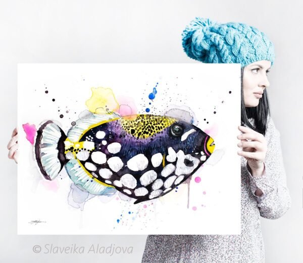 Clown Triggerfish Clown Triggerfish
